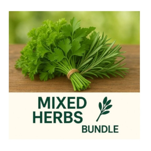 Picture of MIXED HERBS BUNDLE